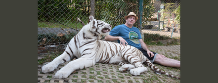 Chill With The Tigers